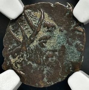 Divus Claudius II BI Double Denarius Eagle Perhaps Barbarous NGC XF - Imagen 1 de 4