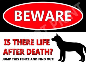 Cuidado con Huskey Vida Después de la Muerte Perro Letrero Decoración Regalos Perro Mascotas Amantes - Imagen 1 de 1