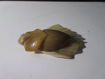 Broche Art Nouveau scarabée bakélite & corne . - Photo 1/4