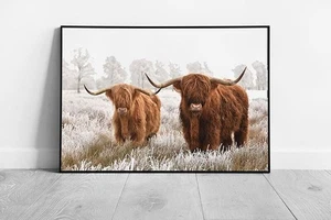 Scottish Highland Cows Wall Art Print - Winter Scene from National Park Drenthe - Picture 1 of 10