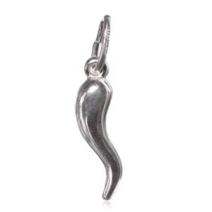Neu 925 Sterling Silber Glückshorn Glücksbringer Charm Anhänger - Größe wählbar - Bild 1 von 23
