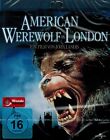 BLU-RAY NEU/OVP - American Werewolf In London (John Landis) (1981)
