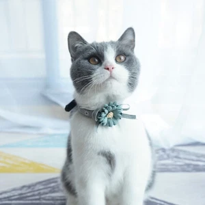 Pet Dog Collar Flower Puppy Cat Dog Collar Leash Set Adjustable Collars for Smal - Picture 1 of 12