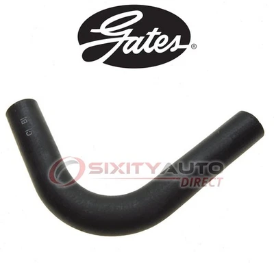 Gates Lower Radiator Coolant Hose for 1951-1952 Fargo FO1 Panel Delivery nc Foto 1 de 4