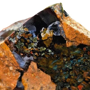 Orbicular Whisky Creek Jasper Lapidar Steckling Rough Chunk RAR - Bild 1 von 9