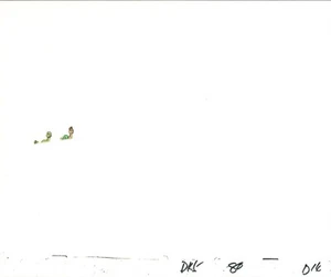 2 Stück Dink der kleine Dinosaurier Animation Cels Rubin Speere 1989-91 B896-97 - Bild 1 von 2