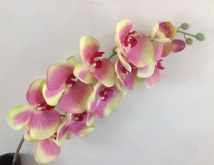 Orchideenzweig 107 cm grün Seidenblumen Kunstblumen künstliche Orchidee wie echt - Picture 1 of 2