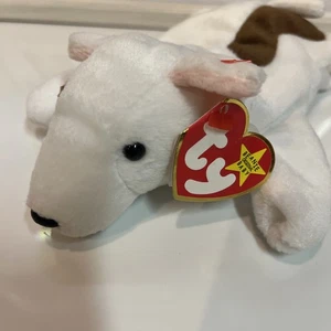 Ty Beanie Baby BUTCH the Dog - 1999 - Hologramm Tush Tag - Bild 1 von 5