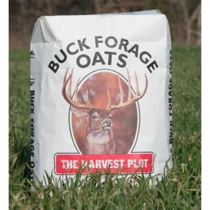 Buck Forage Oats Food Plot Seeds - 50 Lbs. - Picture 1 of 2