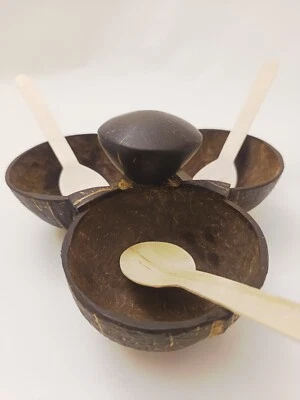 3 in 1 Coconut Shell Thook/Container - Image 1 of 4