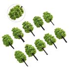 Green Model Trees for Train Railroad 10Pcs Scale Tree Set 3 5cm Height