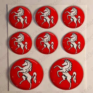 Pegatinas Kent Pegatina Bandera Kent Resina Vinilo Relieve Inglaterra UK - Picture 1 of 1