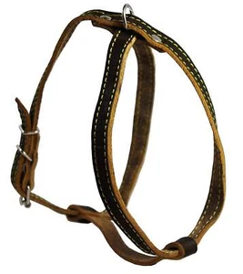 Hundegeschirr aus echtem Leder, 12""-16"" Brustumfang 1/2"" breit, Yorkshire Terrier, Pommerschan - Bild 1 von 3