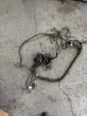 Harley-Davidson Dyna 2008 arnés de cableado principal usado 69602-08 Foto 1 de 4