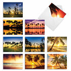 10 All Occasion Blank Note Cards With Envelopes - Palm Beaches M6457ocb