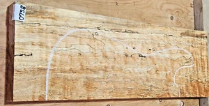 Spalted Maple Figured Wood 0768 Gitarrenbauer Solid Body Guitar Billet 24x 8.5x 2.125 - Bild 1 von 6