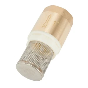 1 Inch Brass Foot Valve with Check Valve for Reliable Water Intake in Pumps - Picture 1 of 12