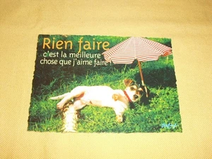CARTE POSTALE Humour Animaux Chien (Feeling) - Picture 1 of 2
