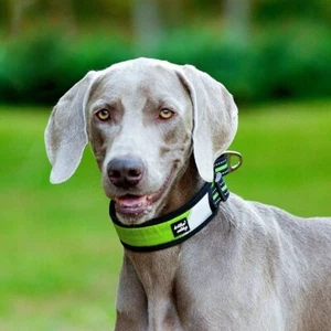 Dog Collar for Large Dogs, 5Colors, Reflective Wide Pet Collars with Durable - Picture 1 of 18