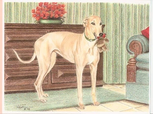 Whippet with Toy Open Edition Art Print by USA Artist Barbara Walker* - Picture 1 of 1