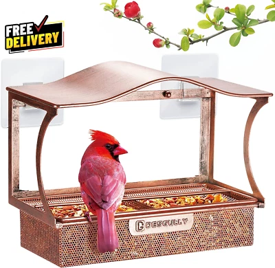 Alimentador de pájaros de ventana de metal con ventosas fuertes grande al aire libre para ver... Foto 1 de 4