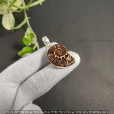Natural Ammonite Nautilus Fossil Pendant ~Handmade Jewelry ~ Adorable Necklace - Image 1 of 4