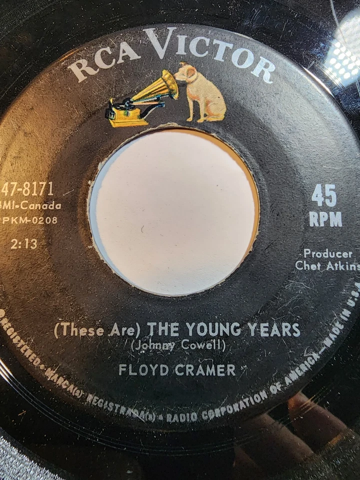 Floyd Cramer - (These Are) The Young Years / Kaapsedraai -RCA GOOD F279 - Image 1 of 1