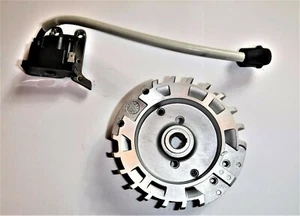 Volano e bobina per motosega Husqvarna 543 XP - OEM - Foto 1 di 2