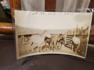 At VF Feb 8 1921 horses at ranch antique vintage western photo collectable - Picture 1 of 2