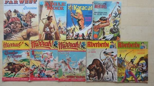 LOT DE 9 BD INDIEN COWBOY ARC HURRAH KARACAL AIGLE NOIR FAR WEST RINTINTIN ETC - Picture 1 of 1