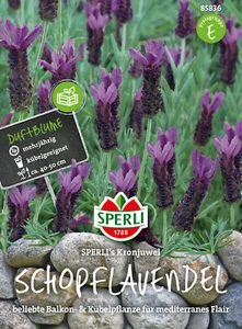 Schopflavendel 'Kronjuwel' - Lavandula stoechas, Lavendel, Samen, 85836 - Bild 1 von 2