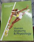 Human Anatomy and Physiology (text component) by Katja Hoehn, Hardcover 2007
