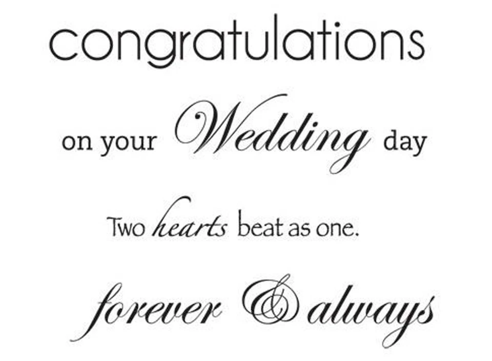 Pequeño juego de estampillas de goma transparentes sin montar Kaisercraft CS917 NUEVO Foto 1 de 1