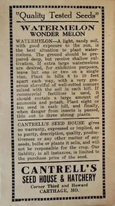 Vintage Vegetable Seed Packet WATERMELON "Wonder melon "NO SEEDS" Original   - Picture 1 of 1