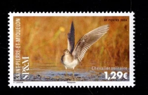 SPM SAINT-PIERRE & MIQUELON 2024  MNH (CHEVALIER SOLITAIRE) BIRDS - Picture 1 of 1