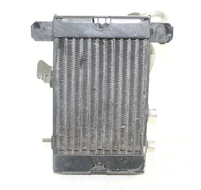 Enfriador de aceite de motor Buell 1125CR 2009 VINQ1002,1AM Foto 1 de 4