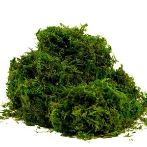 Artificial Moss Fake Green Grass for Centerpieces Home Kitchen Garden Decor (... - Picture 1 of 7