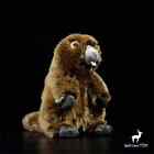 Groundhog High Fidelity Cute Bobac Beaver Plush Animal Groundhog Soft Toy Life-