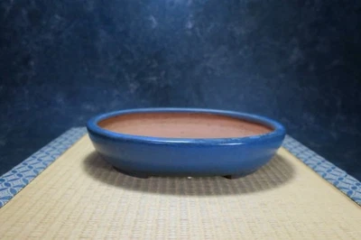 Olla Bonsai Japonesa Genuina "Yamafusa" con pátina, de Tokoname. Foto 1 de 4