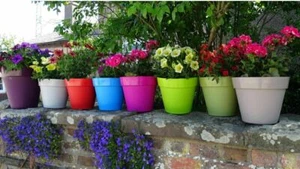 26cm Colourful Planter Pot Trends Garden Patio Plant Flower Pots Plastic Outdoor - Picture 1 of 12