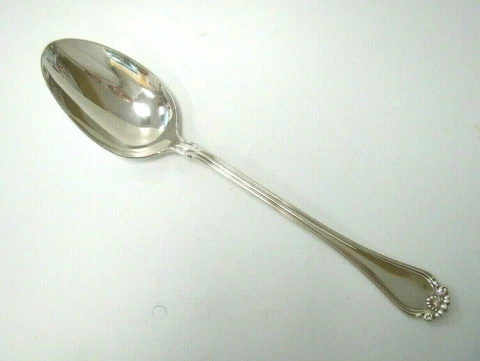 DOMINICK & HAFF 11" PLATTER/STUFFING SPOON CENTURY PATTERN STERLING SILVER 925 Cover
