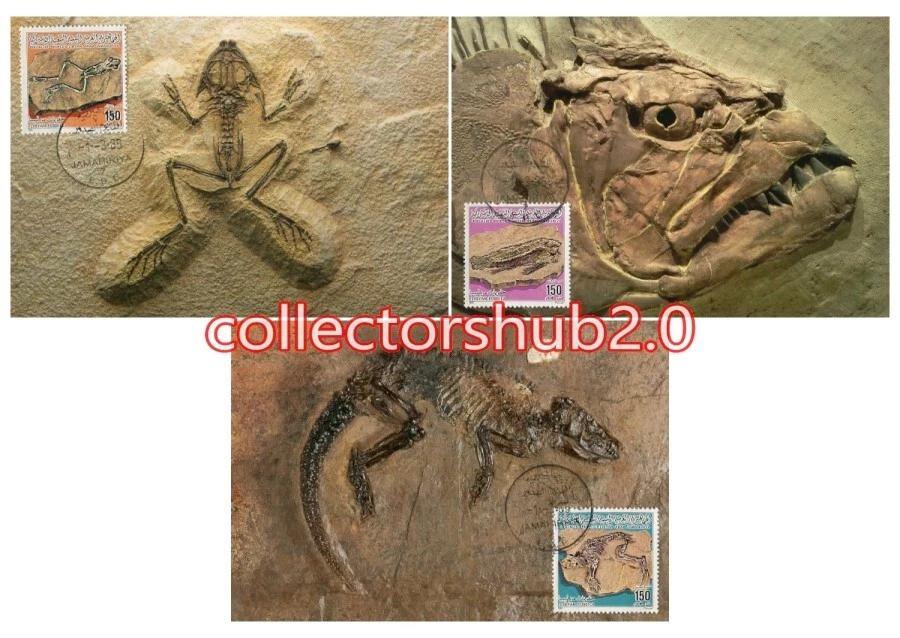 LIBYA 1985 Fossils (3 maximum-cards) - Image 1 of 1