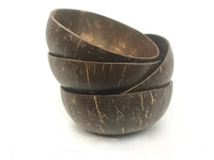 Coconut shell bowl set of 4 handcrafted organic recycled eco friendly tableware - Picture 1 of 5