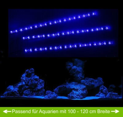 Creative Lights Aquarium Mondlicht 3 x 30 cm LED Blau Wasserdicht KOMPLETTSET