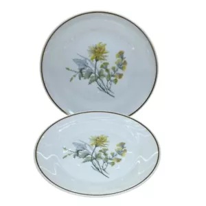 2 Richard Ginori Primavera Yellow Floral Salad Plates Italy 8" - Picture 1 of 5