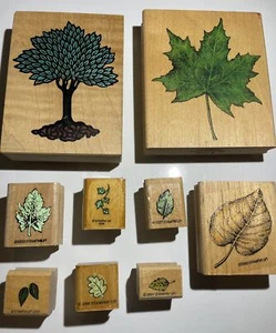 Vintage Mostly Stampin’ Up Rubber Stamps Lot Leaves Maple Oak Tree Vine Greenery - Picture 1 of 4