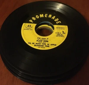 Promenade ~Plain Jane/ I Cried A Tear Petite Fleur #A-55-57 45rpm- - Imagen 1 de 2