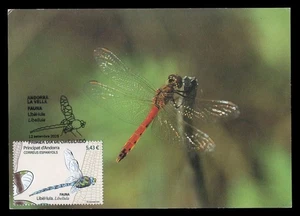 ANDORRA Correos 2025 Maximum Card - Libellula Dragonfly Libellule Insect Fauna - Picture 1 of 3