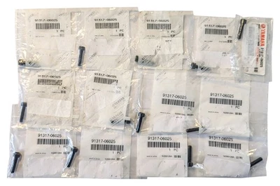 Perno OEM para Yamaha Lote de 13 Virago XV250 XV535 XV750 XV1100 YZF R1 YZF R3 Foto 1 de 2