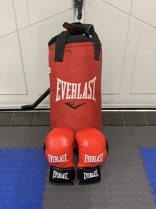 everlast punch bag - Picture 1 of 1